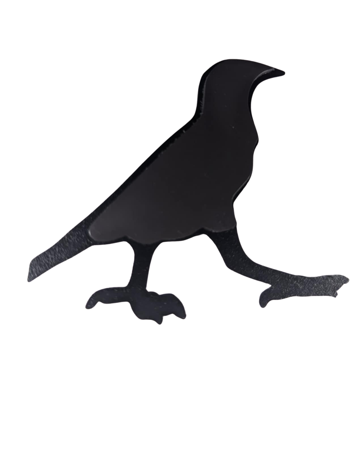 Myna Bird Metal Magnet