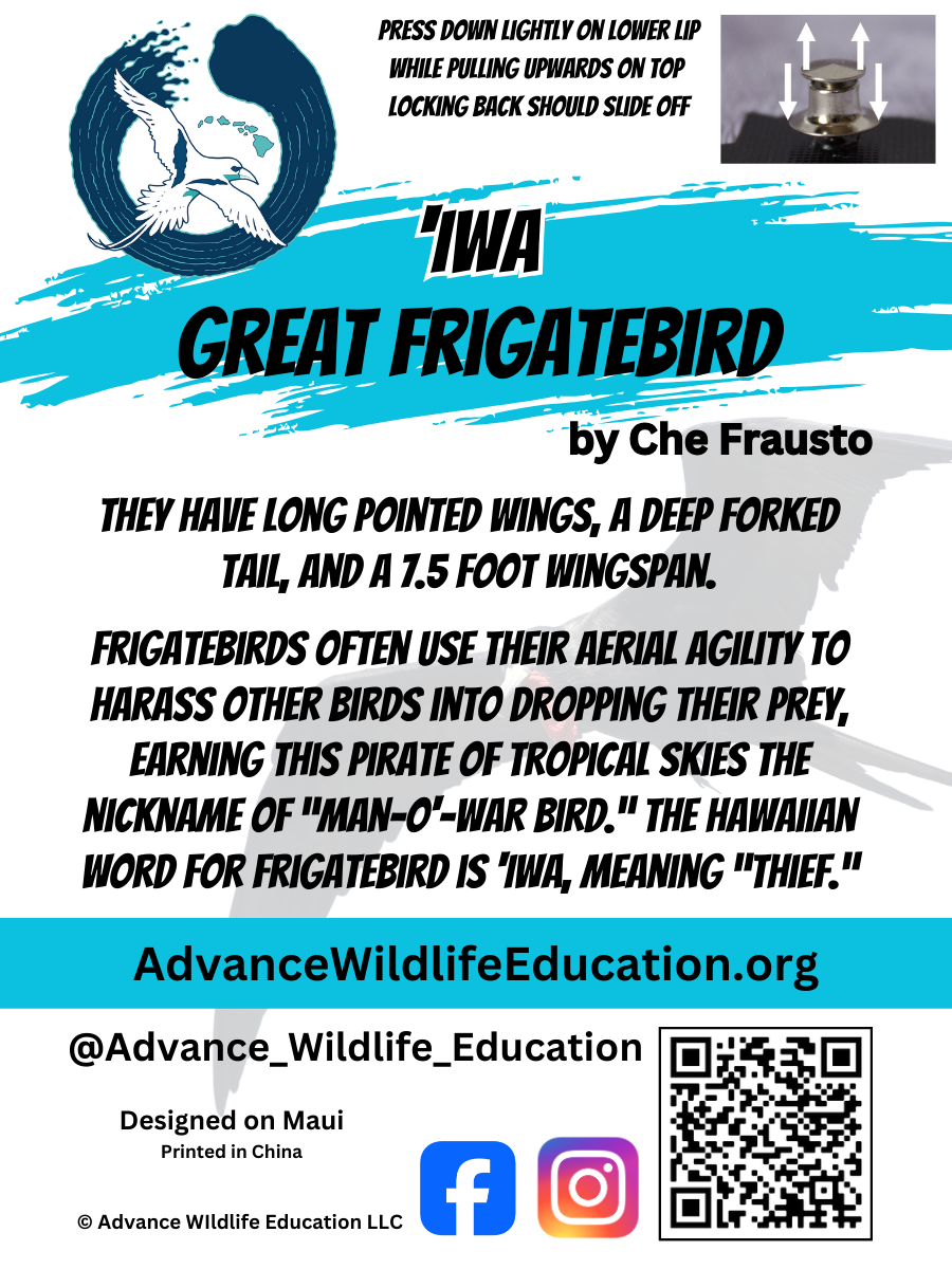 Great Frigatebird Iwa Enamel Pin