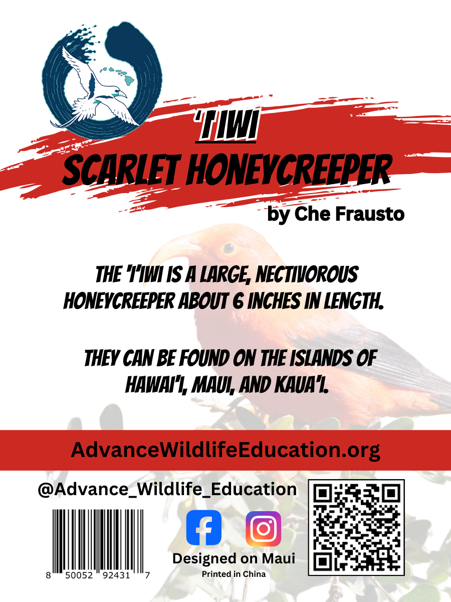 Scarlet Honeycreeper Iiwi Enamel Pin