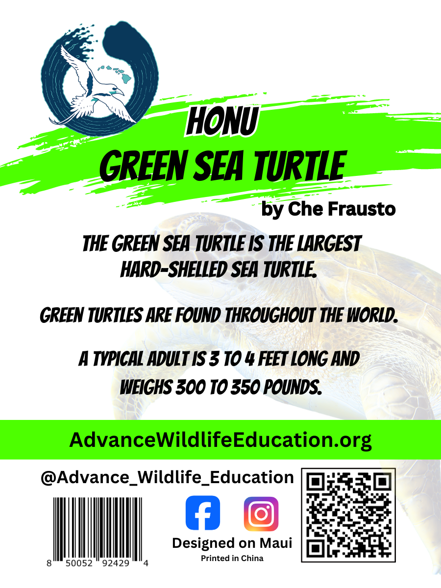 Green Sea Turtle Enamel Pin