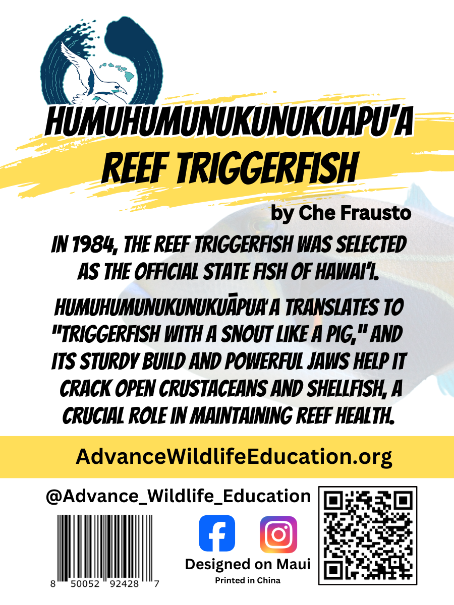 Humuhumunukunukuapuaa Enamel Pin