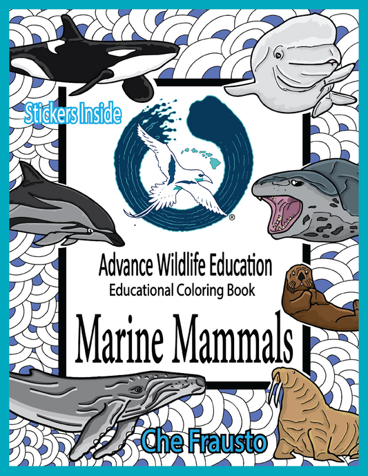 Marine Mammals Educational Coloring Book