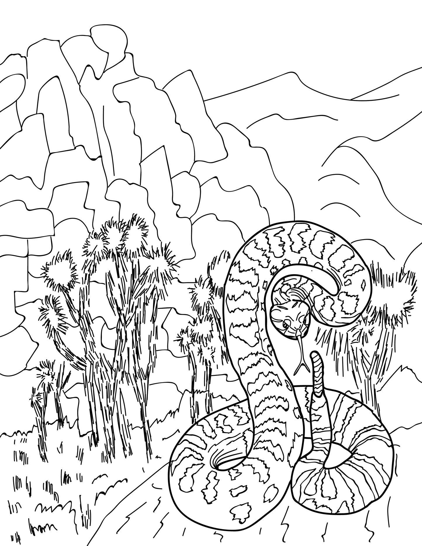 Southern California Educational Coloring Book