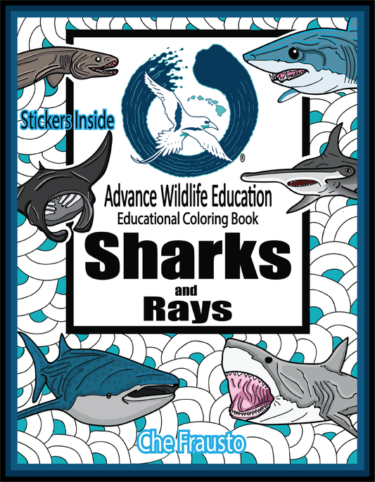Sharks and Rays Educational Coloring Book