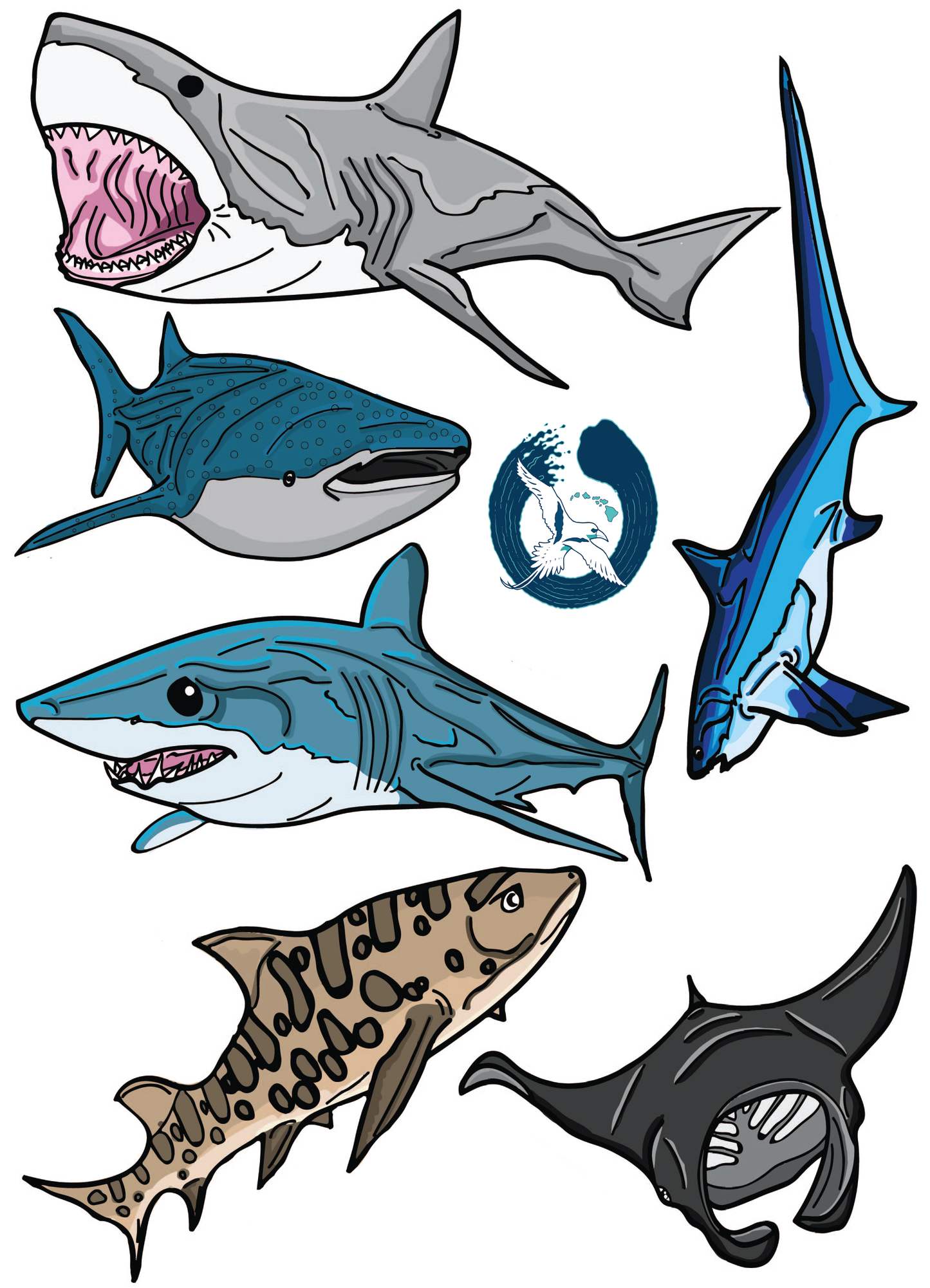 Libro educativo para colorear tiburones y rayas