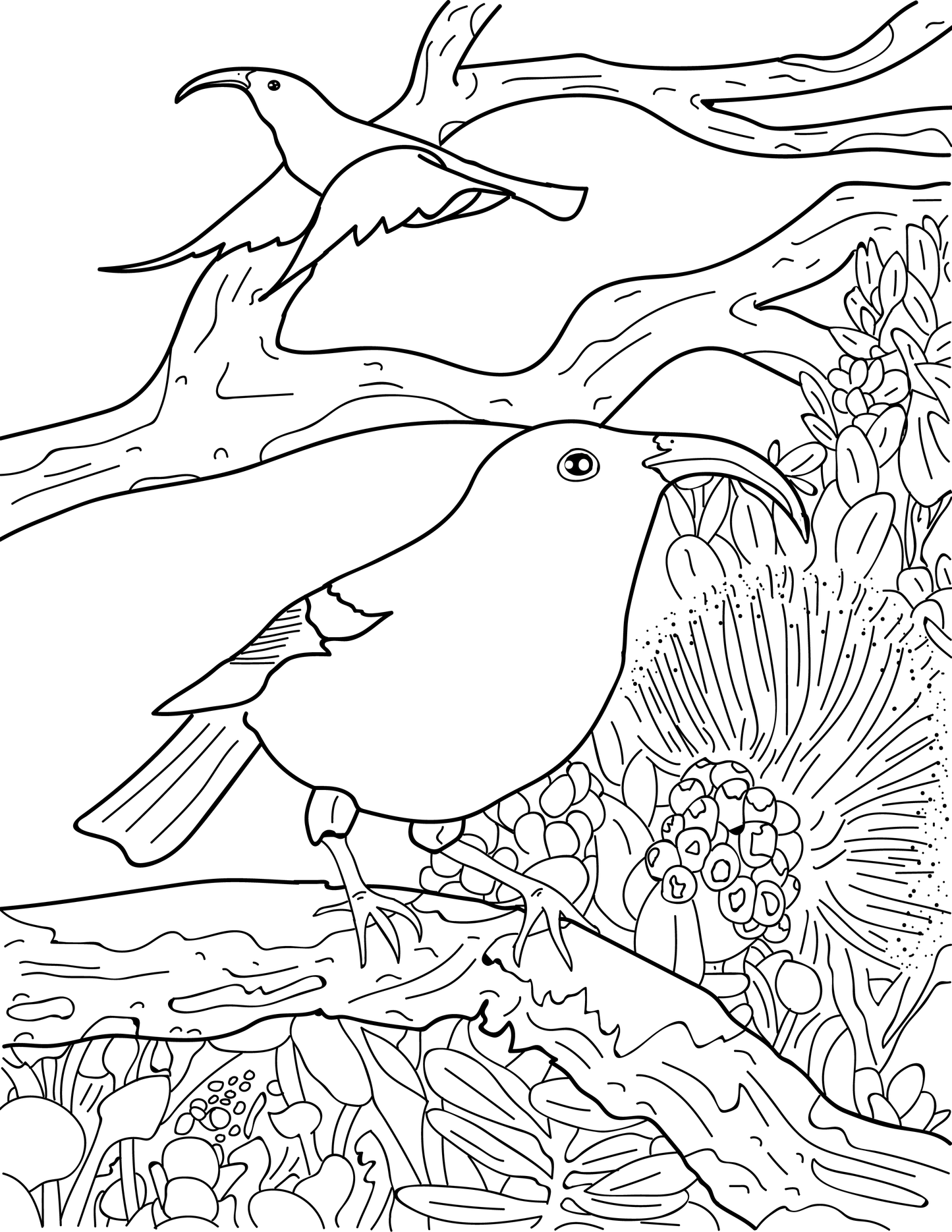 Libro educativo para colorear sobre la vida salvaje hawaiana (olelo/inglés)