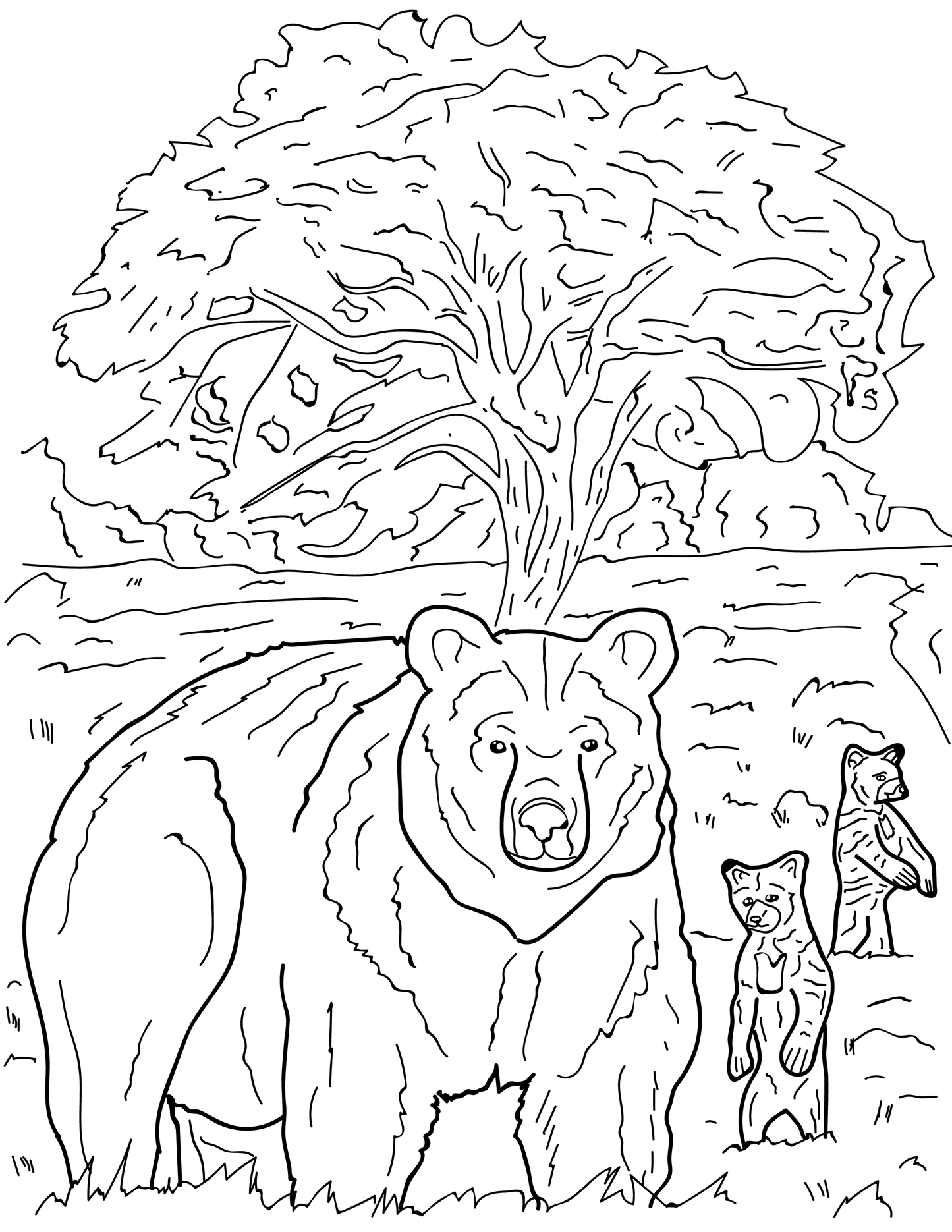 Libro para colorear educativo sobre la vida salvaje de Sierra Nevada