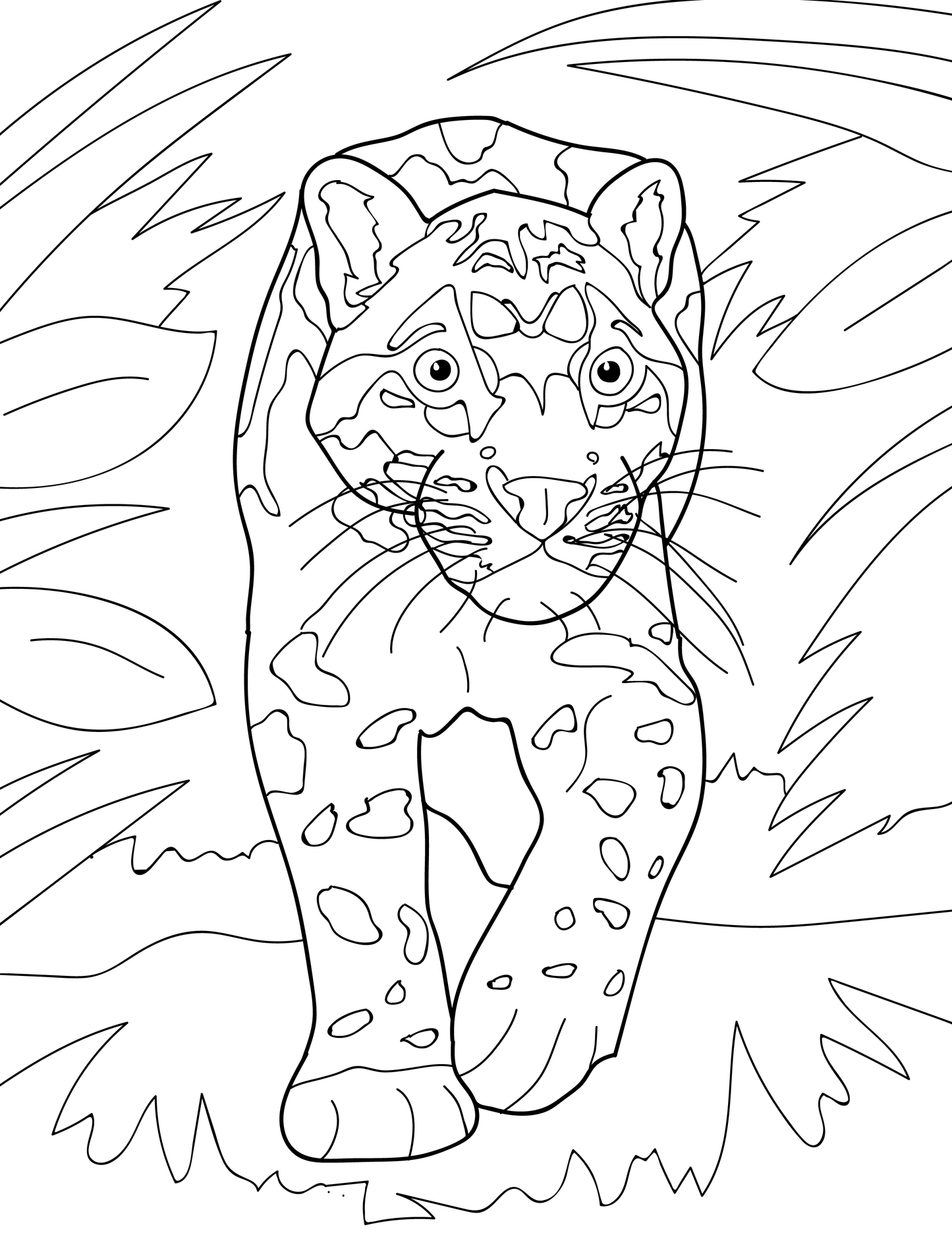 Cats Educational Coloring Book