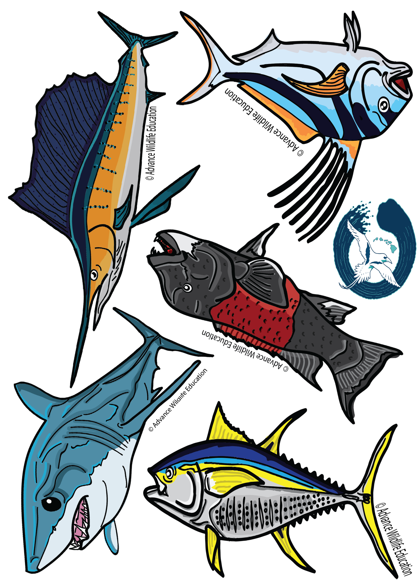 Libro educativo para colorear peces del Pacífico