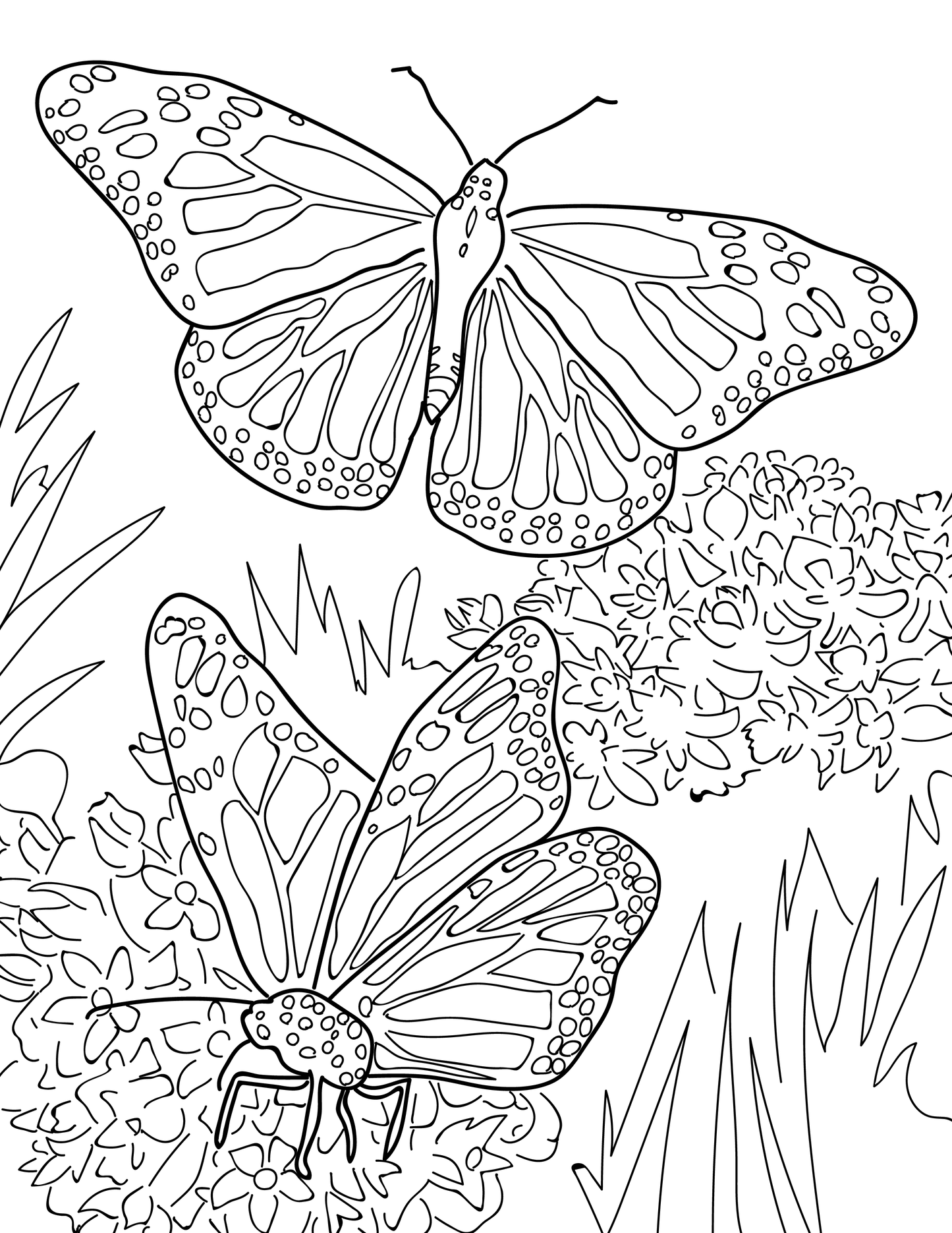 Libro para colorear educativo sobre especies en peligro de extinción