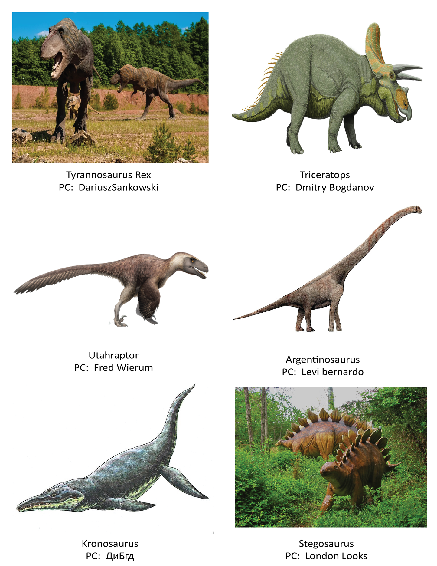 Libro para colorear educativo de dinosaurios
