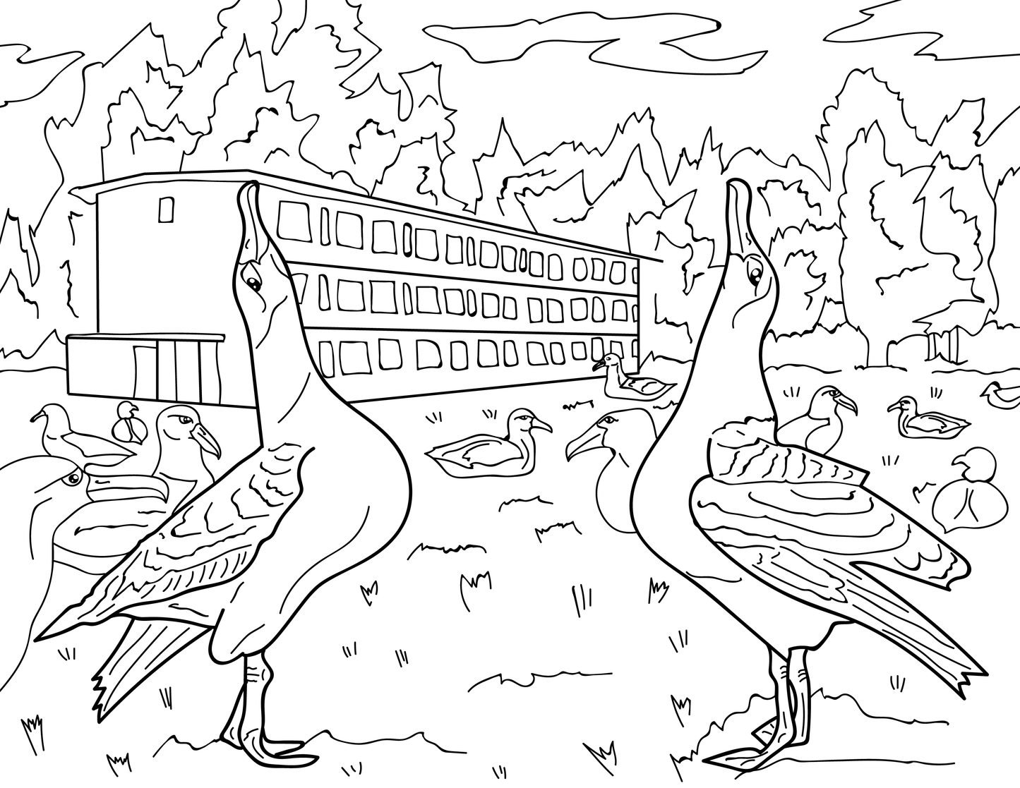 Midway Atoll Educational Coloring Book