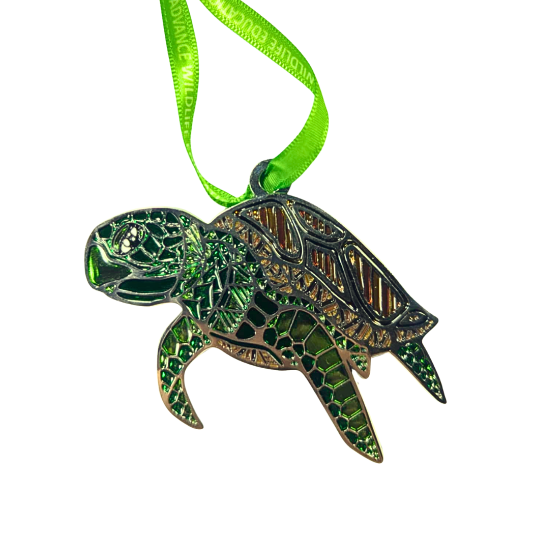 Green Sea Turtle Glass Enamel Ornament