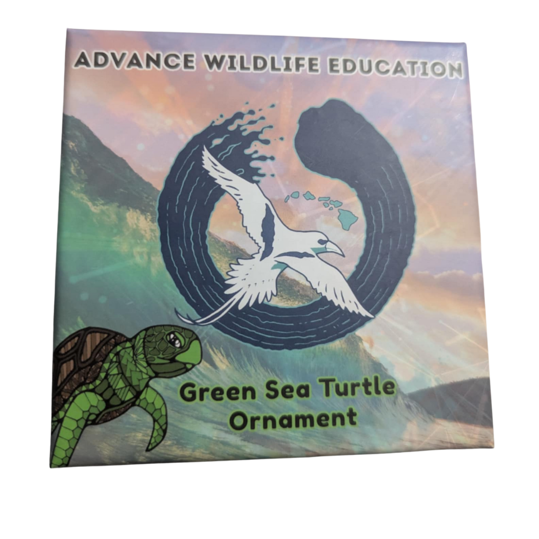 Green Sea Turtle Glass Enamel Ornament