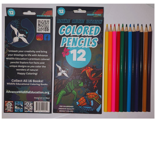 12 Pack Colored Pencils