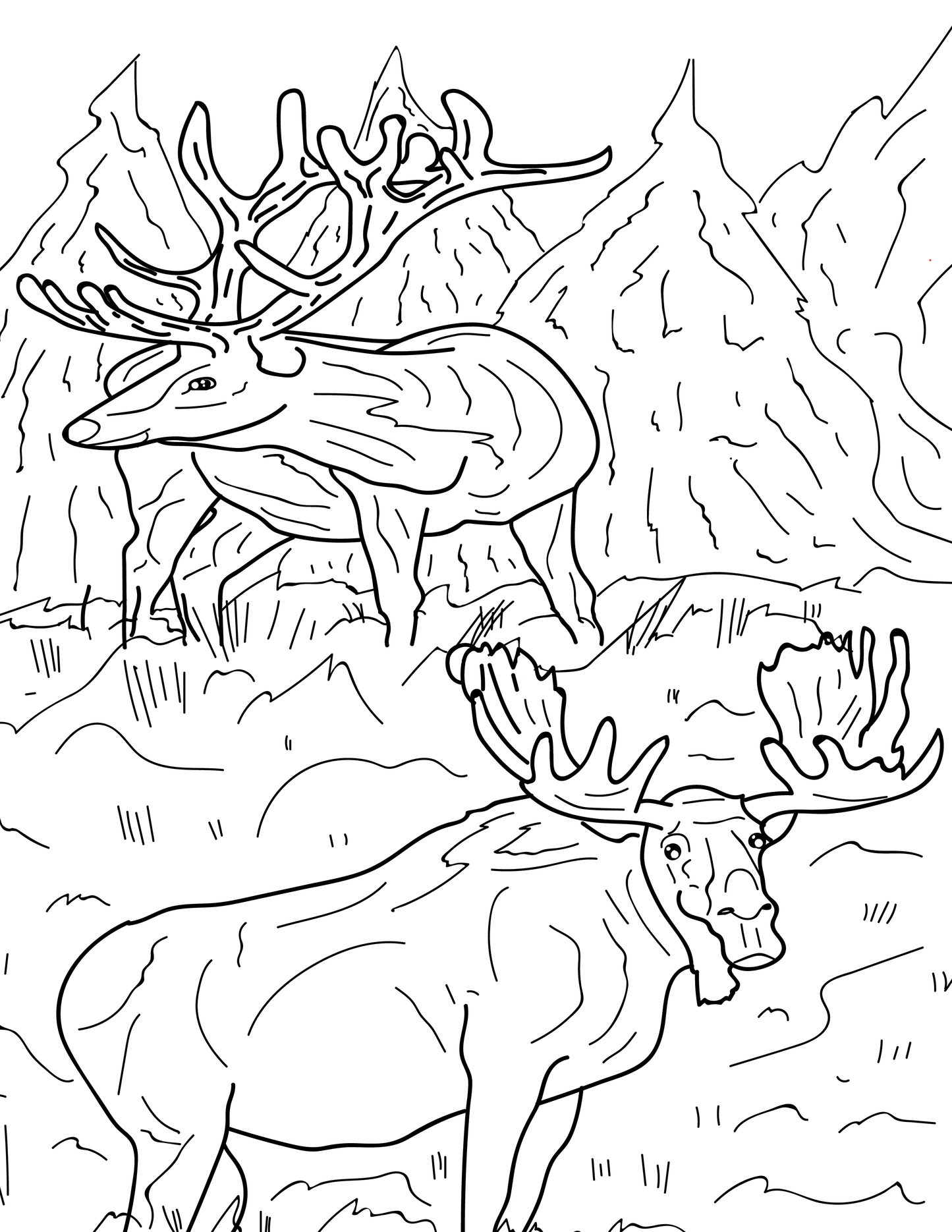 Pacific Northwest Wildlife Educational Coloring Book