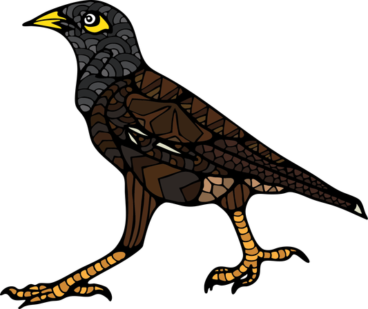 Myna Bird Metal Magnet