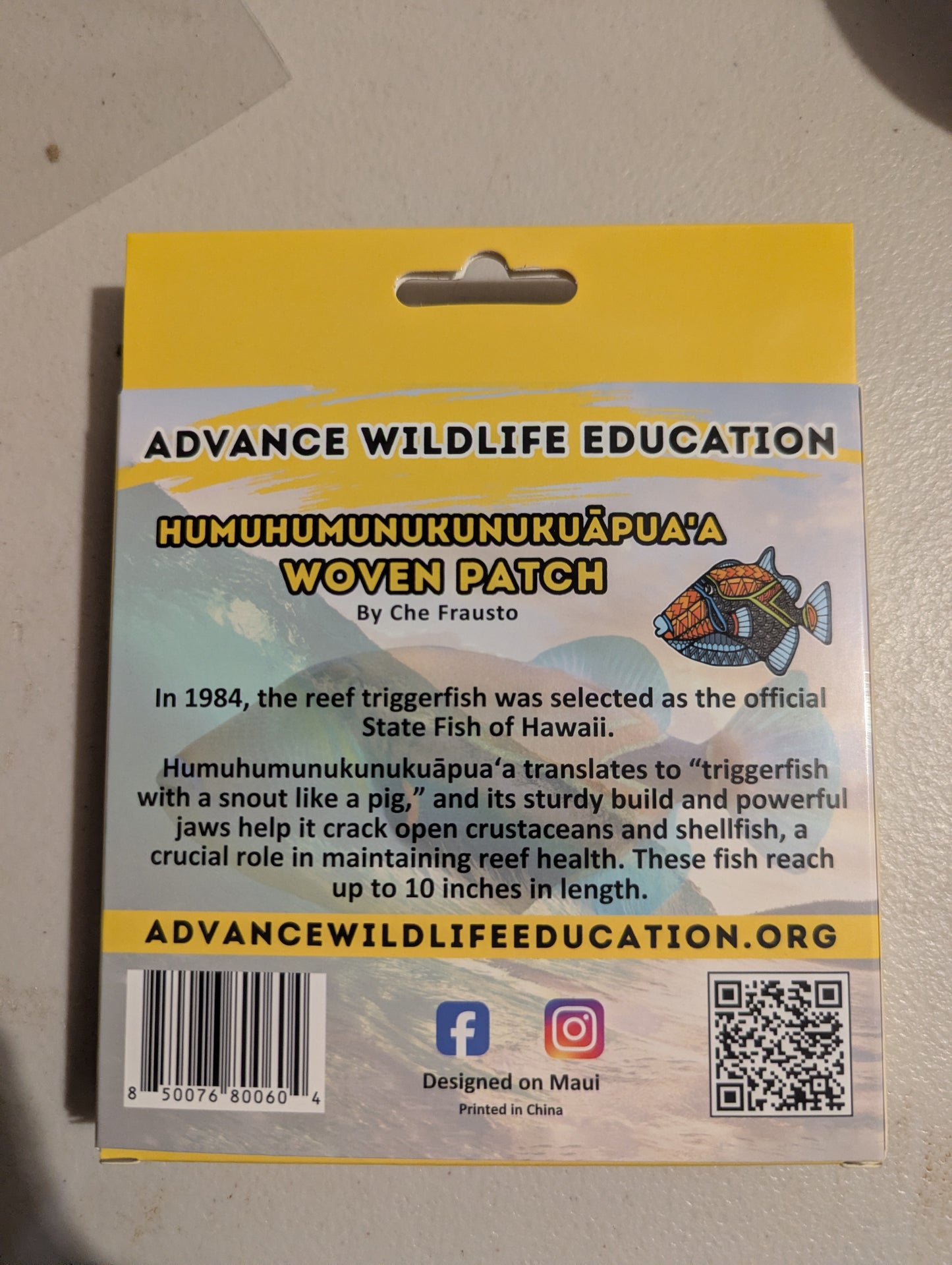 Humuhumunukunukuapua'a Glass Enamel Ornament