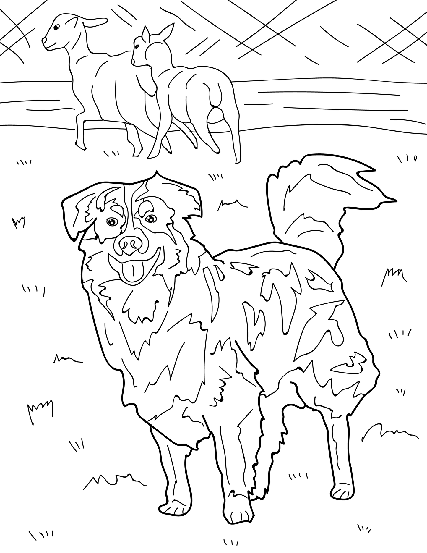 Dogs Educational Coloring Book