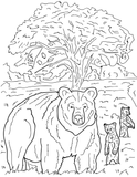 Sierra Nevada Wildlife Educational Coloring Book