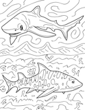 Sharks and Rays Educational Coloring Book