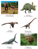 Dinosaur Educational Coloring Book