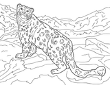 Cats Educational Coloring Book